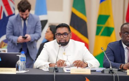 CARICOM leaders get down to business