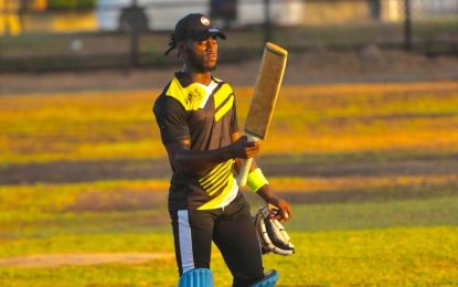 Shamal Angel ready to take AJM Mash It Up cricket tournament by storm