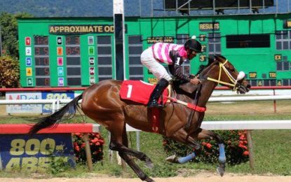 Trinidad Derby winner Soca Harmony joins Jagdeo Racing Stables