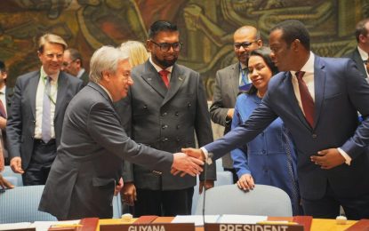 World Leaders agree UN Security Council must redouble efforts to address impacts of war on food security, environment  