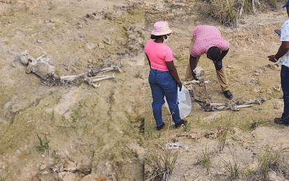 BOSAI workers stumble on skeletal remains in bush