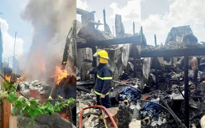 Seven homeless after fire destroys house at Craig Old Road