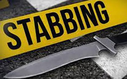 Man granted $400,000 bail for allegedly stabbing cousin several times