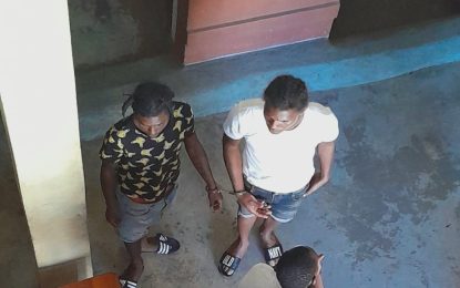 Youth granted bail for alleged armed robbery