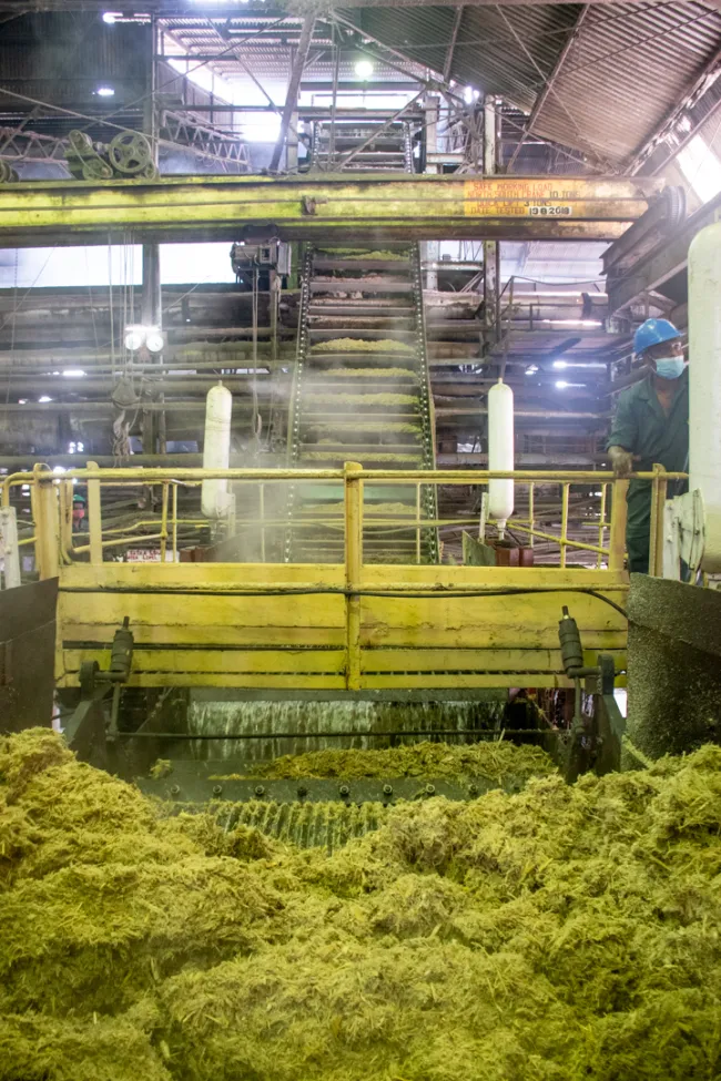 CARICOM private sector backs sugar refineries in Guyana, Belize