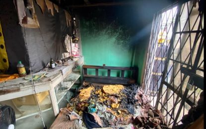 Woman arrested for allegedly setting fire to Norton Street house