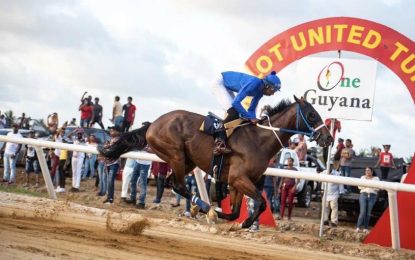 Alado retired to stand Stud duties