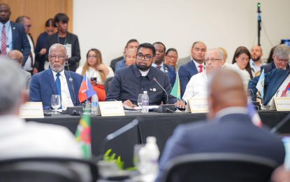 War in Ukraine, bombing of Gaza are senseless acts of aggression that must never befall Region – President Ali tells Regional Heads