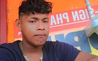 Patentia boy stabbed to death by teen gang