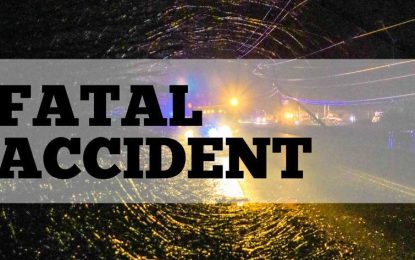 Man killed after car drives over him at Zeeburg