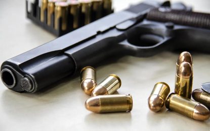 Security officer on bail for possession of ammo without firearm licence