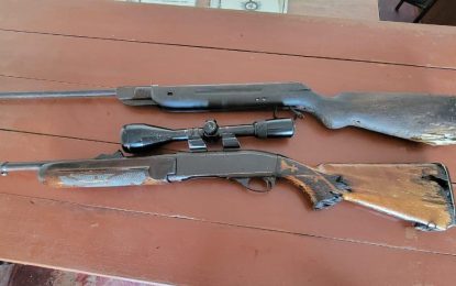 Police find guns in bushes near Corentyne camp