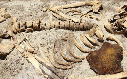 Excavator operator digs up human remains at New Amsterdam