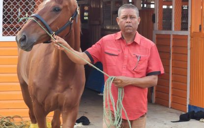 All roads lead to the KMTC today for Phagwah Horse Race Meet