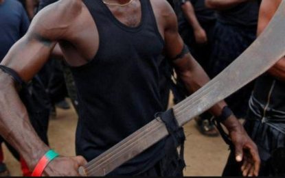 Man on $50,000 bail for chopping neighbour