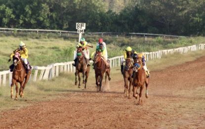 Eight races carded for Easter Sunday horserace meet at Port Mourant