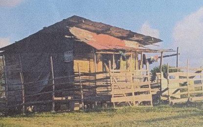 Zeelugt residents fearful of electrical fires from squatters’ illegal GPL connections