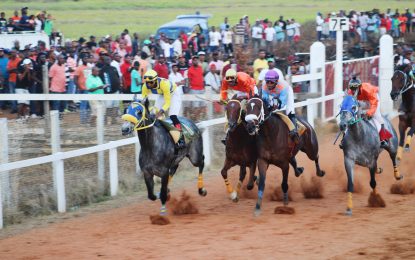 Stolen Money steals the show at Kennard’s Memorial Turf Club