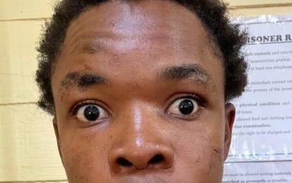 Convict pleads guilty to seven counts of Robbery Under Arms charges; says he was on ‘Molly’