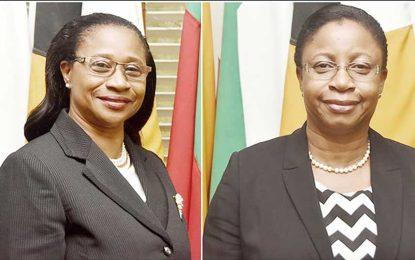 UN Rights Committee raises concerns over non appointment of substantive Chancellor, Chief Justice