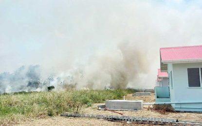 Grass fire rips through Cummings Lodge