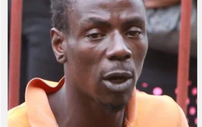 “Gunbutt” shot in foot