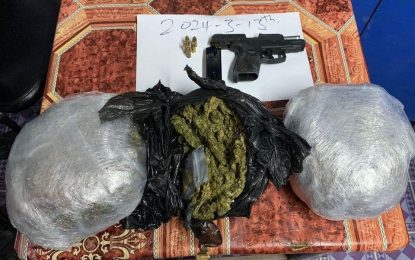 Labourer arrested with firearm, ammo