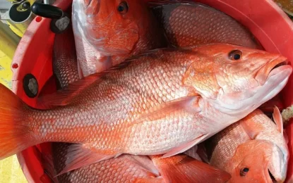 Sixth oil project to further batter fishing industry – Exxon Study reveals