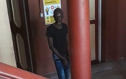 Man jailed for stealing weeding machine