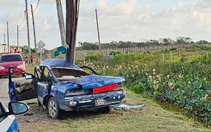 Driver killed after car crashed into utility pole