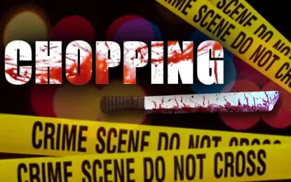 Enmore man chopped to head during fight