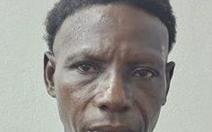 Man gets one year in prison for ganja possession