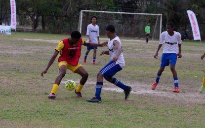 Wins for MHS and Linden Foundation