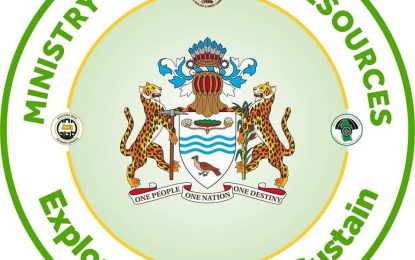 Five Int’l firms bid to map out Guyana’s mineral hotspots
