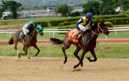 Trinidadian jock Nigel Flavenney eyeing smooth transition in Guyana
