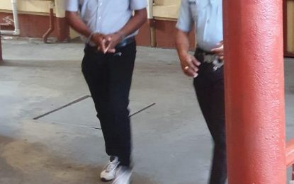 Truck driver on $1M bail for causing death