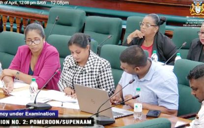 Public Service Commission in place but officials still acting – MPs