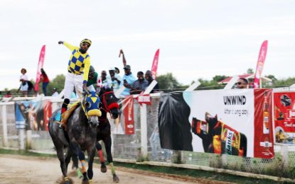 Stolen Money secures stunning win in Jumbo Jet Race of Champions