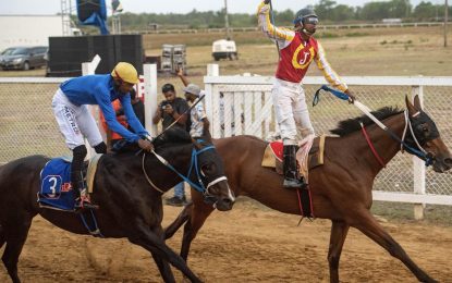 More than 40 entries confirmed for Jumbo Jet Race of champions