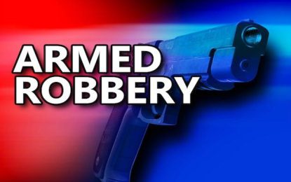 Duo involved in serial robberies land in Court