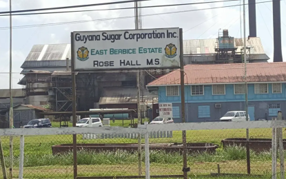 Human skeleton found at Rose Hall Sugar Estate