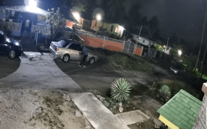 Car thief caught on camera