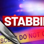 19-year-old arrested for fatal stabbing of tourist guide