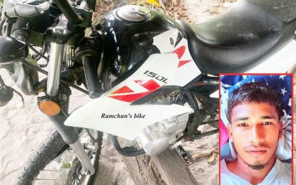 Dirt biker dies after crashing into tree