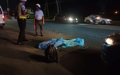 E-bike rider killed in East Bank accident