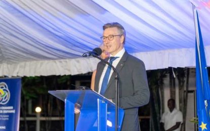 Digital wood tracking system to be implemented soon – EU Ambassador