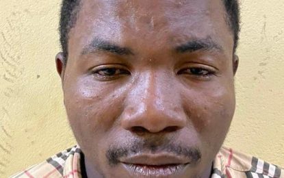 Man on $150,000 bail for allegedly stealing iPhone and case 