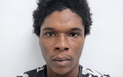 Man remanded after allegedly robbing owner of Chinese supermarket