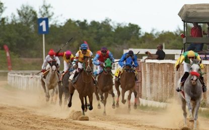 Georgetown Turf Club to host a grand One-Day Gymkhana Horse Racing event on November 16