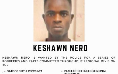 Police arrest man wanted for alleged robberies and rape